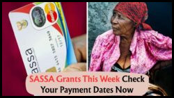 SASSA Grants: Full R350, Pension & Disability Payment Details as Rollout Starts 8 July!
